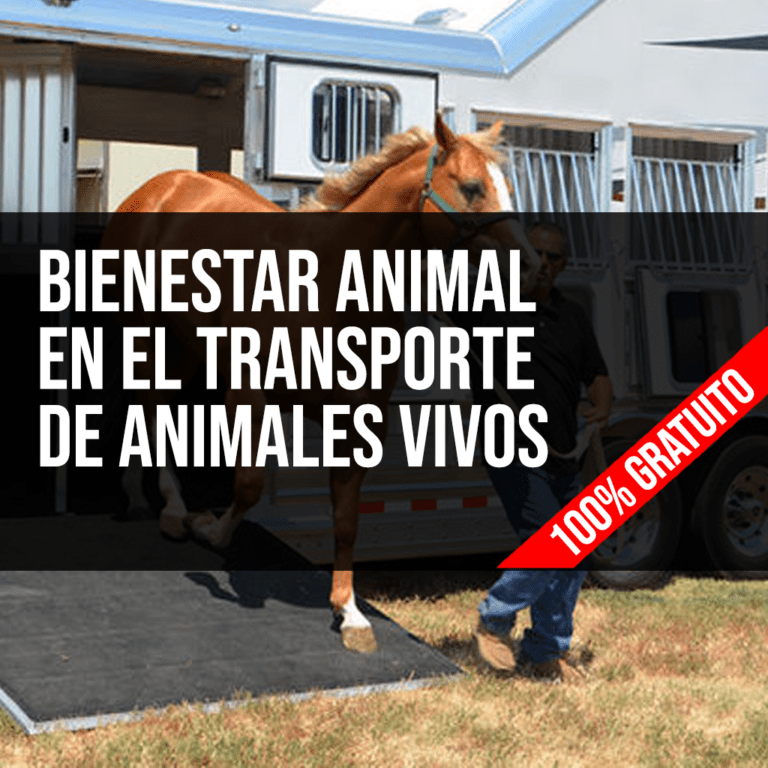 Bienestar En El Transporte De Animales Vivos - Autoescuela Tajo